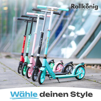 Rollkönig City-Scooter faltbar, Tretroller für Kinder und Erwachsene