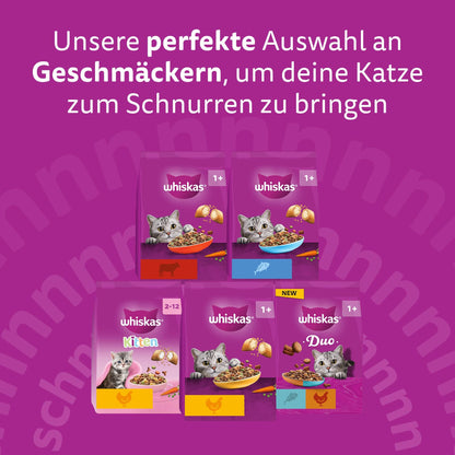 WHISKAS Senior Katzentrockenfutter mit Huhn, 4 x 1,9 kg