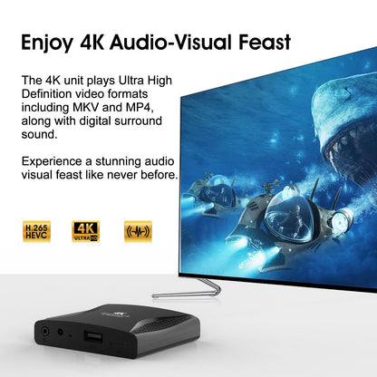ZUMKUNM 4K Media Player für USB und Micro-SD mit HDMI und AV