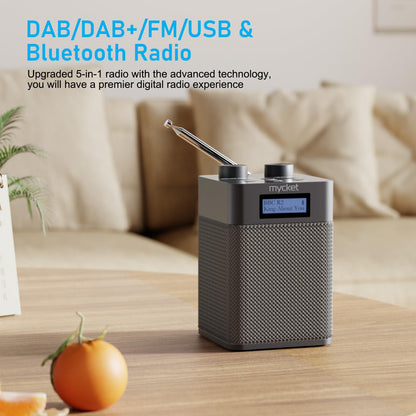 Mycket DAB/DAB+ Radio, tragbares UKW Digitalradio mit Bluetooth