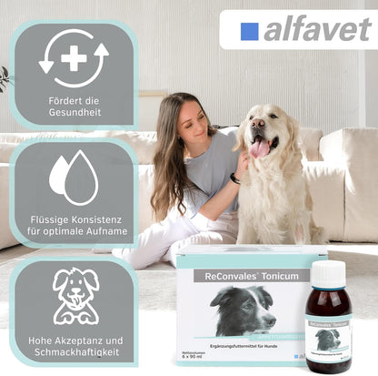 alfavet ReConvales Tonicum Hund - Doppelpack 2x6x90ml