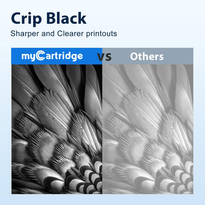 MYCARTRIDGE TN2420 Toner 4x Schwarz kompatibel für Brother TN-2420