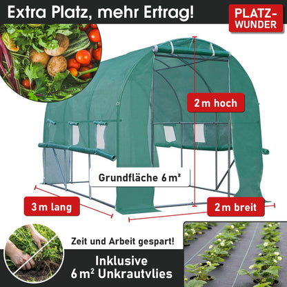 BRAST Foliengewächshaus mit Stahlfundament 200x300 cm, 6 m²