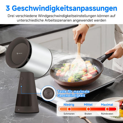 AMZCHEF Mobile Dunstabzugshaube AH003-SG, tragbar, 3 Stufen, Braun