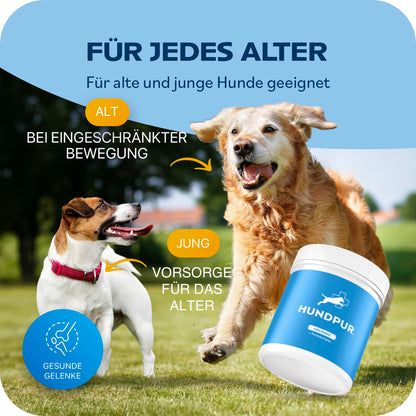 Hundpur Gelenke Ergänzungsfuttermittel für Hunde, 300 g Pellets