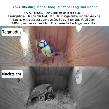 WIWACAM MW5 4K Mini Kamera WLAN für Nistkästen mit Nachtsicht und Akku