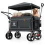EVER ADVANCED Bollerwagen XXL faltbar 225 L bis 150 kg mit Dach – abnehmbares Sonnendach und breite Räder