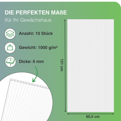 Exeta Hohlkammerplatten für Gewächshaus 10 Stk 6mm Transparent