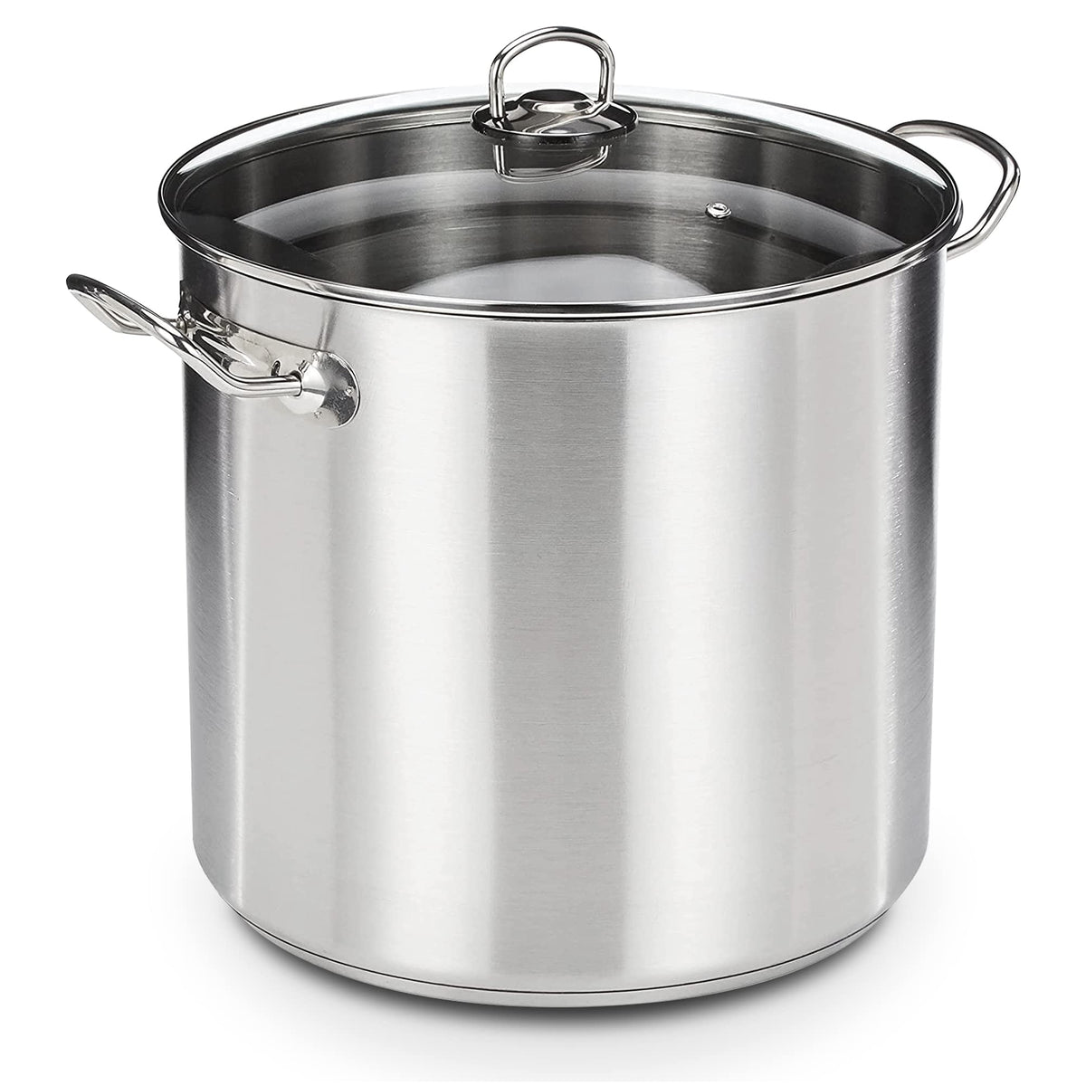 GSW Profi-Topf mit Glasdeckel, Edelstahl, 20 l, induktionsgeeignet – silberner Kochtopf für Herd und Backofen
