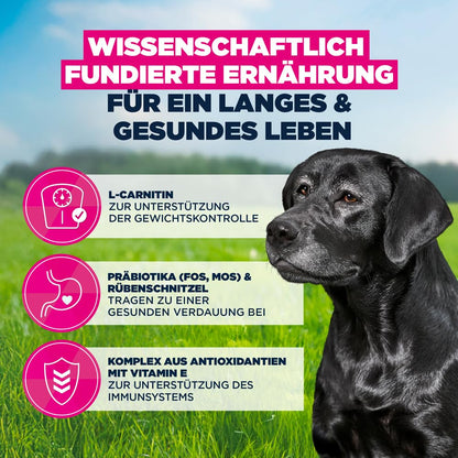Eukanuba Senior Trockenfutter mit Huhn für grosse Rassen, 15 kg