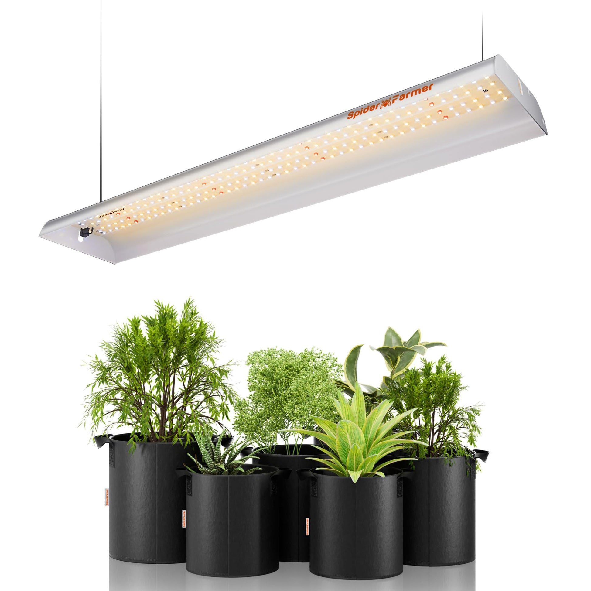Spider Farmer SF300 Grow Lampe - Vollspektrum 192 LEDs. Rechteckige, silberne LED-Panel für effiziente Pflanzenzucht im Innenbereich mit Vollspektrum-Licht.