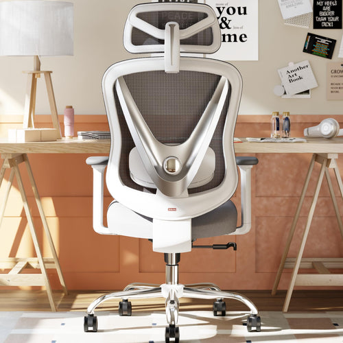 HOLLUDLE Ergonomischer Bürostuhl V-Rücken Lendenstütze – Weiss. Weißer Bürostuhl für ergonomisches Arbeiten am Schreibtisch.