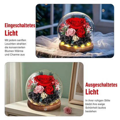 MAMAMIKO Konservierte Rose im Glas mit LED-Licht, Ewige Rose Rot