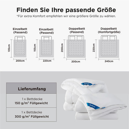 BEDSURE 4-Jahreszeiten-Steppdecke Set - 220x240 cm