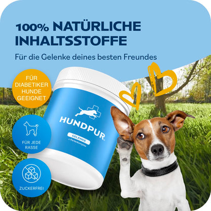 Hundpur Gelenke Ergänzungsfuttermittel für Hunde, 300 g Pellets