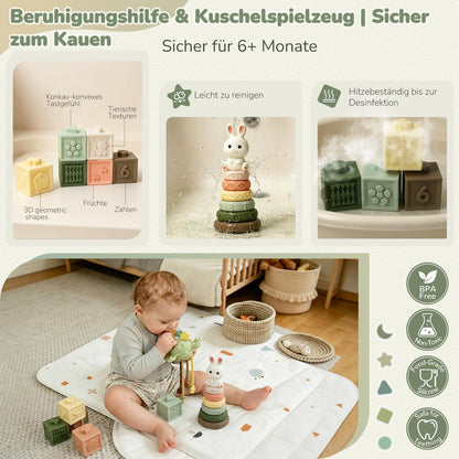 Auezona Montessori Spielzeug ab 6 Monaten, 5-in-1 Baby Lernspielzeug