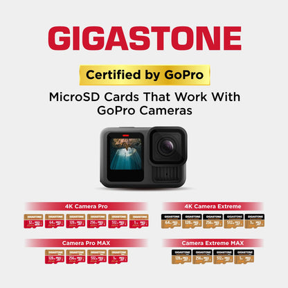 GIGASTONE MicroSDXC Speicherkarte 256GB, UHS-I U3 V30 mit SD-Adapter