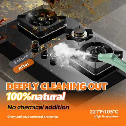 TwoOases Dampfreiniger Handgerät TC-SC-001, 1,1 L Tank, Grün