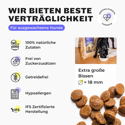 HEY HOLY Premium Trockenfutter Retriever Lamm getreidefrei - 7kg