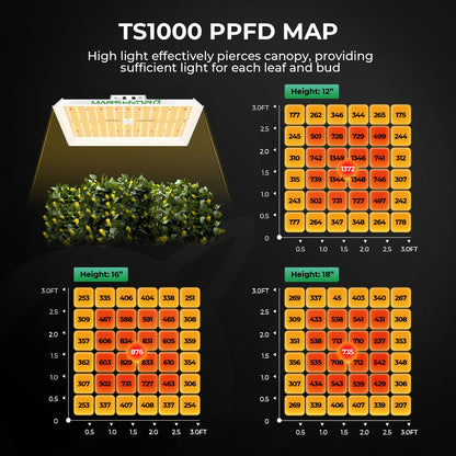 MARS HYDRO TS1000 LED Growzelt Komplettset - 80x80x160cm