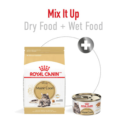 Royal Canin BREED HEALTH NUTRITION Maine Coon Trockenfutter - 6-Pound
