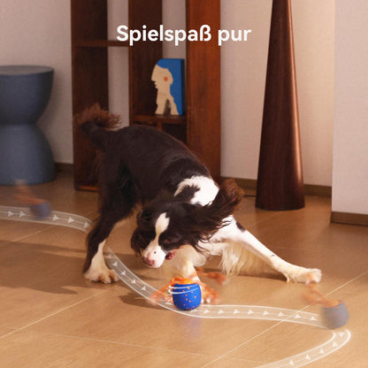 Cheerble Wicked Ball Rolly Interaktiver Hundeball mit Seil, Blau