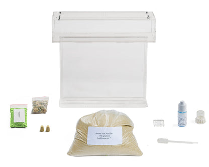 AntHouse Ameisenfarm aus Sand, T Acryl Set Big, 25x20x1,5 cm