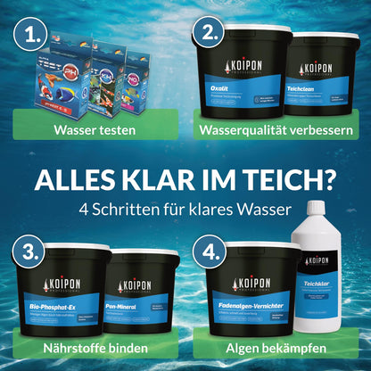 KOIPON Bio-Logik Milchsäurebakterien 5 l Teichpflege für Fischteich