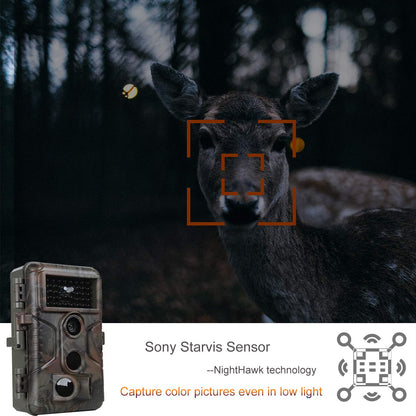Wildkamera A323 64MP 1296P – Nachsichtkamera IP66