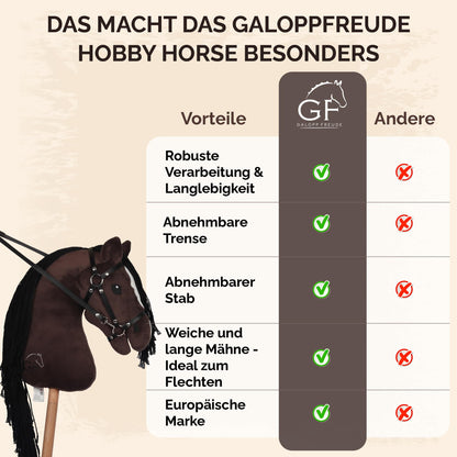 GaloppFreude Hobby Horse Steckenpferd Braunschecke mit Trense, A3