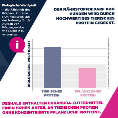 Eukanuba Senior Hundefutter mit Lamm und Reis für grosse Rassen 12 kg