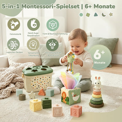 Auezona Montessori Spielzeug ab 6 Monaten, 5-in-1 Baby Lernspielzeug