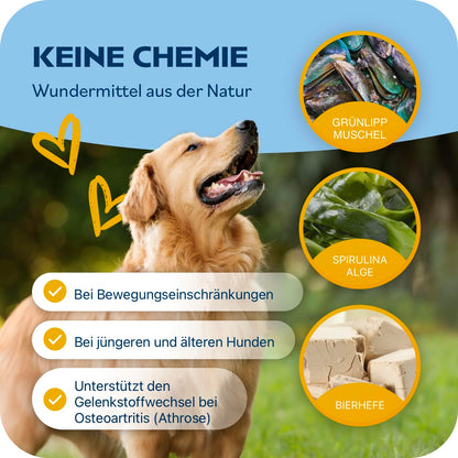 Hundpur Gelenke Ergänzungsfuttermittel für Hunde, 300 g Pellets