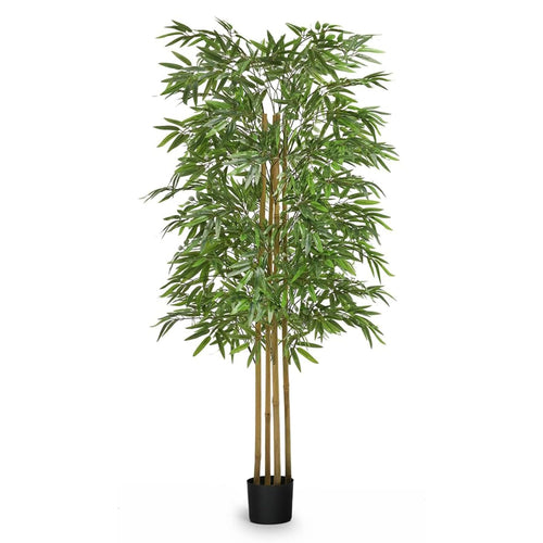 Maia Shop Künstlicher Bambus Kunstpflanze 150 cm mit Naturstamm, grünblättrig, braune Stämme. Pflegeleichte Raumdekoration.