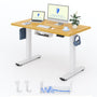 FlexiSpot Basic Höhenverstellbarer Schreibtisch – 120x60cm Ahorn. Rechteckige Ahorn-Tischplatte. Ermöglicht ergonomisches Arbeiten sitzend/stehend.