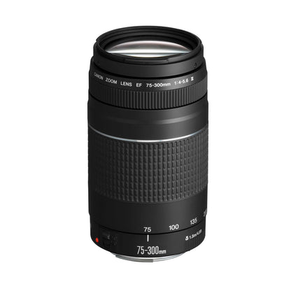 Canon EF 75-300mm F4.0-5.6 III Zoomobjektiv schwarz. Schwarzes, zylindrisches Objektiv für Tele-Aufnahmen an Canon EF Kameras.