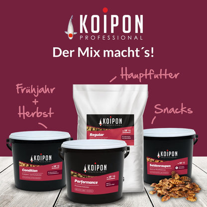 KOIPON Premium Störfutter 6 kg sinkend, Teichfutter Pellets 5-6 mm