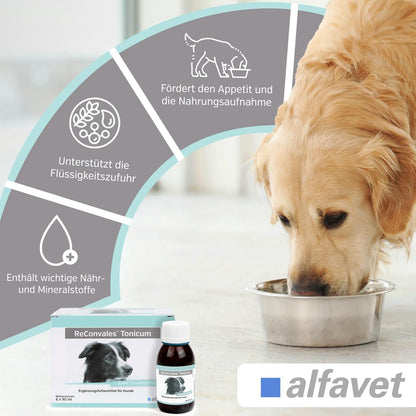 alfavet ReConvales Tonicum Hund - Doppelpack 2x6x90ml