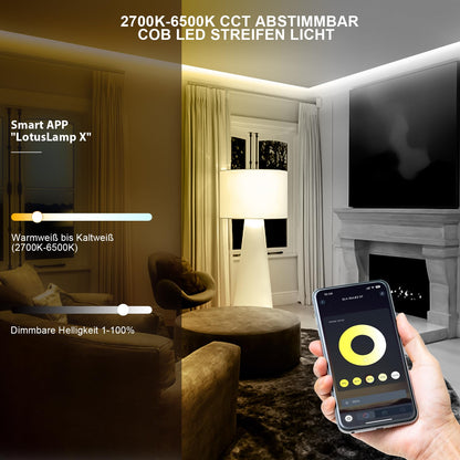 Wefomey COB LED Streifen 10m, 2700K-6500K, dimmbar mit Fernbedienung