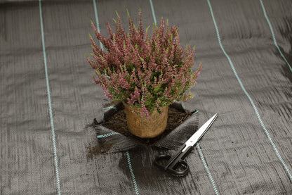 GardenMate Unkrautvlies, 1 x 50 m, 100 g/m², UV-stabilisiert