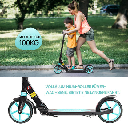 TENBOOM Cityroller TB-H008D, klappbar, LED-Räder 200 mm, bis 100 kg