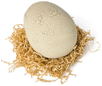 Jurassic World Primal Hatch – Interaktiver T-Rex im Ei