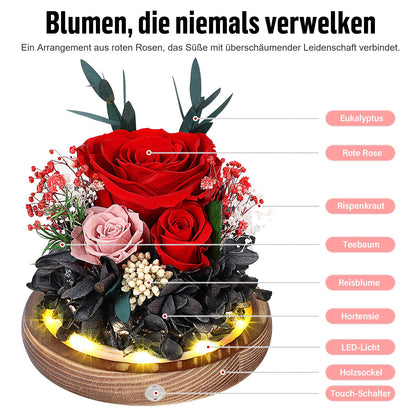 MAMAMIKO Konservierte Rose im Glas mit LED-Licht, Ewige Rose Rot