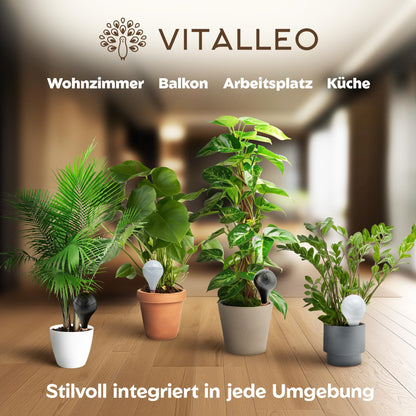 VITALLEO Bewässerungskugeln XL 400 ml, Selbstbewässerung, 6er-Set