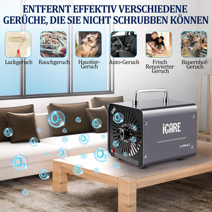 ICARE Ozongenerator 30000mg/h Ozongerät mit 120 Min Timer