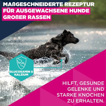 Eukanuba Trockenfutter mit frischem Huhn für grosse Rassen, 15 kg