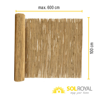 Sol Royal SolVision S36 Schilfmatte Sichtschutzzaun 100x600 cm