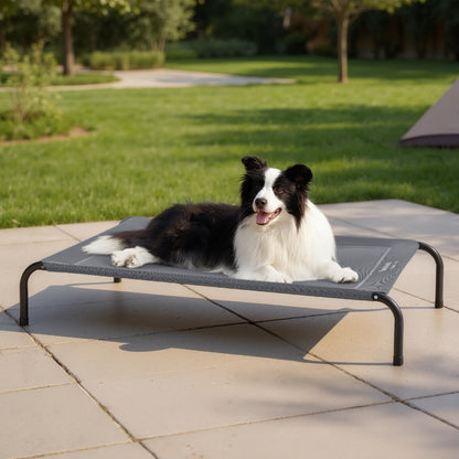 BEDSURE Hundeliege erhöht, Outdoor Hundebett grau, 124x80 cm