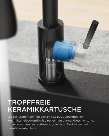 FORIOUS Küchenarmatur NLKF23 mit ausziehbarer Brause, schwarz matt