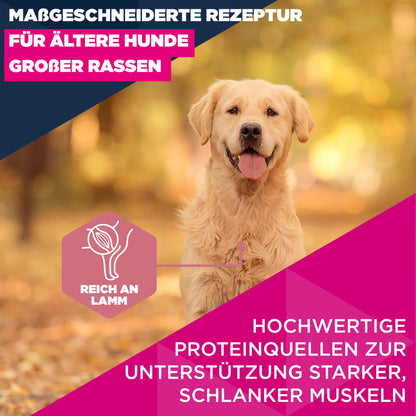 Eukanuba Senior Hundefutter mit Lamm und Reis für grosse Rassen 12 kg